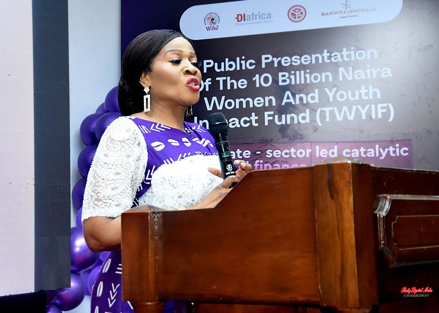 A speaker addressing the public presentation of the Women and Youth Impact Fund.